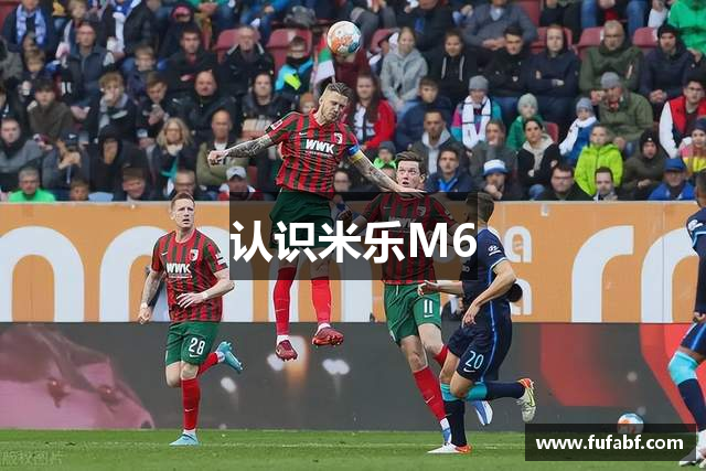 认识米乐M6